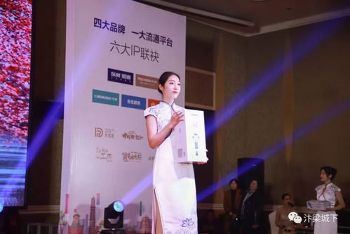 唐风雅韵促行业发展 河南一唐文化传媒倾情助力新春盛会，开启文化艺术交流新篇章